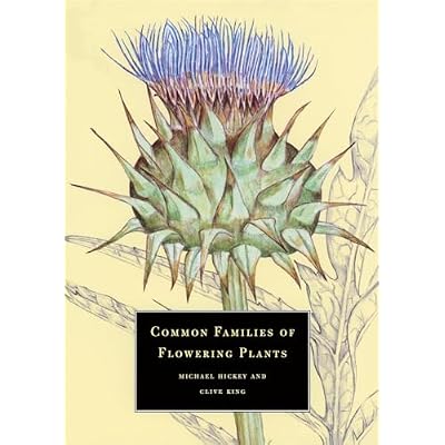 Common Families of Flowering Plants