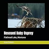 Independently published