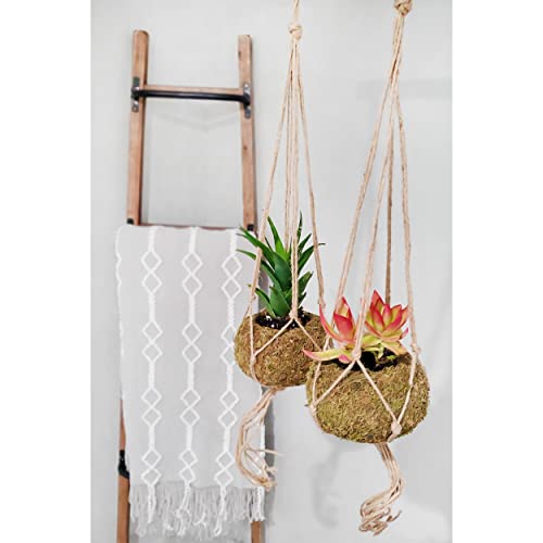 Esterno Kokedama Hanging Planters (Set Of 3, 5.5In Diameter); Japanese Moss Ball Plant Holder For Ferns, Succulents, Orchids Etc #TOP1