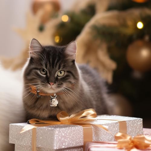 30 pcs Sublimation Blank Dog Tags Paw Shape Sublimation Blank Dog Tags Double Sided Dog Tags with Key Ring DIY Sided Aluminum Dog ID Tags Pet Name Tags Dog Collar Tags with Dogs and Cats 30 pcs Sublimation Blank Dog Tags Paw Shape Sublimation Blank Dog Tags Double Sided Dog Tags with Key Ring DIY Sided Aluminum Dog ID Tags Pet Name Tags Dog Collar Tags with Dogs and Cats