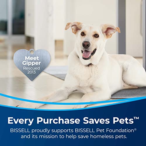Bundle of Bissell Spot & Stain with Febreze Freshness Spring & Renewal Formula, 7149, 32 ounces + Bissell PET PRO OXY Spot & Stain Formula for Portable Carpet Cleaners, 32 oz., 2034 - image 6