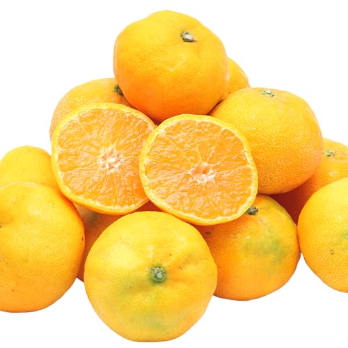 愛媛県西予市産 訳あり 無選別 温州みかん 約4.5kg 愛媛県 西予市