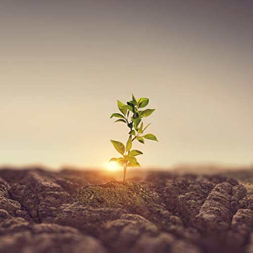 Reproducir There's Still Life in Me de Father Jared Rodrigue en Amazon Music