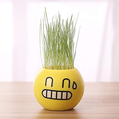 Office Mini Micro Landscape Plant Grass Potted Children Indoor Planted Cute Expression Long Grass Head Doll?1pcs?