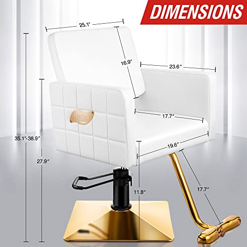 Baasha Gold Salon Chair, Professional White Salon Chair For Hair Stylist, Salon Styling Chair With Heavy Duty Hydraulic Pump, Beauty Hair Stylist White Chair, White Barber Chair - White And Gold #TOP2