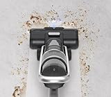 VIOLA B0GN3L15HM lato 3