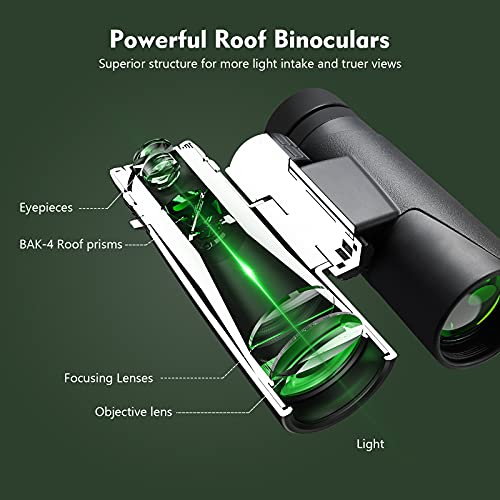 https://m.media-amazon.com/images/I/41ZaCdfoAOS._SL500_.jpg