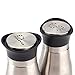 Tebery 2 Pack Silver Classic Salt and Pepper Shakers Set, 4 Ounces Stainless Steel & Glass Spice Dispenser, Refillable Design