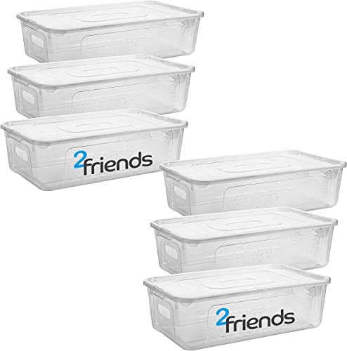 Aufbewahrungsbox mit Deckel, 6er Set Aufbewahrungsboxen, 5 Liter Boxen Aufbewahrung, Plastikbox mit Deckel, Transparent Kisten Aufbewahrung mit Deckel mit Strukturdesign, Model: Felix, Made in Europe
