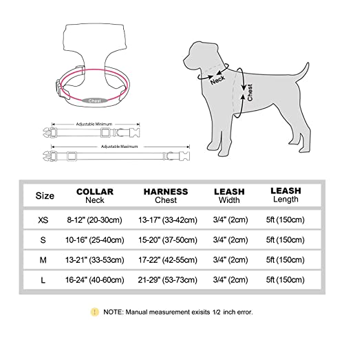 Beirui Cute Girl Dog Collars, Harnesses & Leashes Set - Personalized Dog Collar And Leash Set With Detachable Flower - Soft Mesh Dog Vest Harness Adjustable For Small Medium Large Dogs (Blue,M) #TOP4