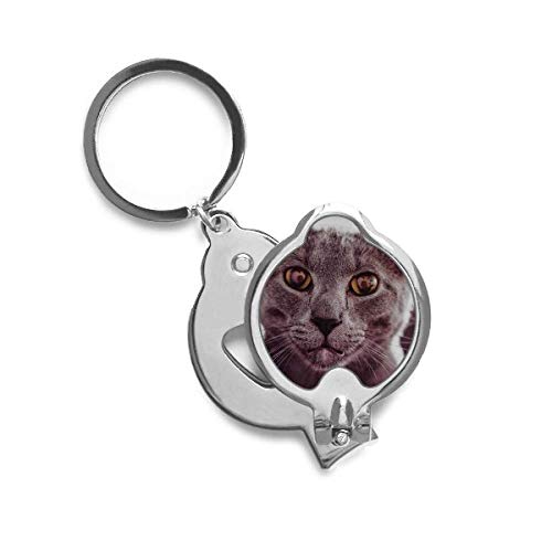 Cortador de uñas de gato gris DIYthinker, el regalo ideal para amantes de los felinos