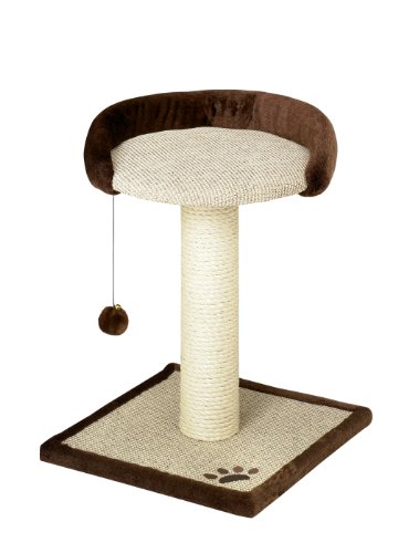 Nobby, Scratcher Gatto Kira