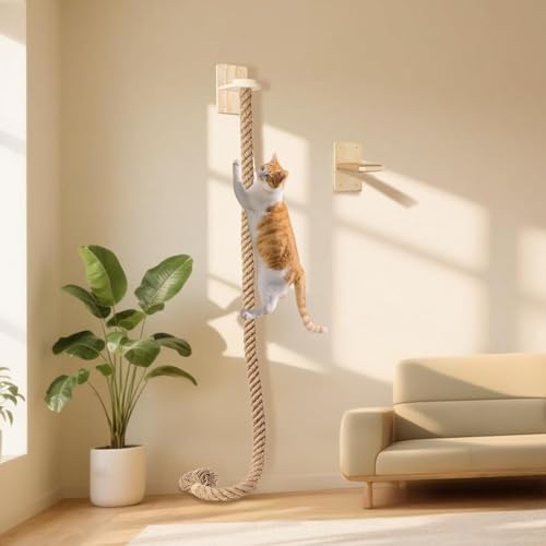 59.1C` LpNC~O[v ǎtLNC~O^[ ~|Xgt qL[v͂ƃWvvbgtH[t tȒPŊȃfUC