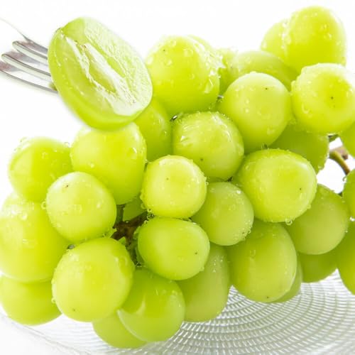 先行予約 シャインマスカット 秀品 約600g-700g 日本フルーツ[7月下旬-8月末頃出荷]熊本県 荒尾市 ぶどう ブドウ 果物 フルーツ スイーツ デザート ギフト ご贈答