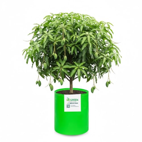 Image of HDPE Grow Bags for Plants 24X36 Inch (Pack of 1) | 260 GSM Heavy Duty UV-Protected Round Green Colour Plant Bags for Terrace and Vegetable Gardening | Strong & Reusable|
