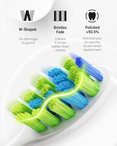 Image of 7AM2M Sonic Electric Toothbrush for Adults,Type-C Charging Run for 120 Days | 6 Brush Heads & 5 Modes, 40000VPM Powered Rechargeable Toothbrush, Smart Timer, IPX7 Waterproof, Travel&Home Use, Light Blue