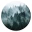 Misty Forest