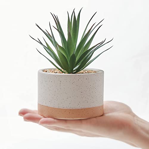 Astridia Artificial Succulent Plants In Ceramic Pots, Faux Assorted Succulents Fake Cactus Plants For Home Decor, Bedroom, Office, Desk, Living Room, Set Of 3… #TOP4