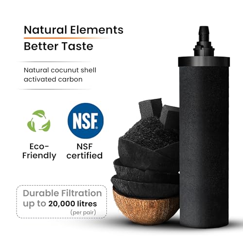 Image of RAMA Carbon Ultra-Fast Filtration Water Filter & Purifier Candle | Pack of 6 | High-Efficiency Water Purifier Filter Candle for Home Clean & Safe Drinking Water