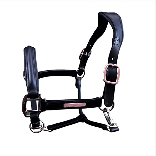 Lumiere Equestrian 'Alize' Leather Halter Black Full #TOP7