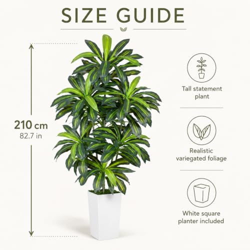 Image of 7FT Artificial Dracaena Tree - High-Density Foliage Fake Plant with White Tall Planter - Faux Yucca Floor Plant for Home Office Decor Indoor