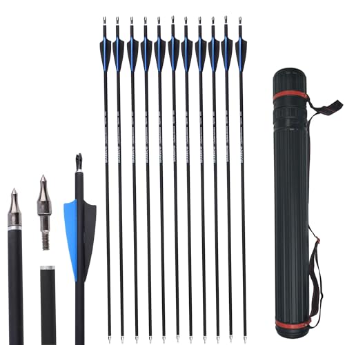 AMEYXGS 12 Piezas Flechas de Fibra de Carbono 30 Pulgadas Caza Objetivo de Práctica Fiechas Spine 500 para Arco Recurvo Arco Compuesto Arco Largo (Azul+Negro+ Flecha Carcaj)