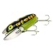Heddon Crazy Crawler Fishing Lures (Glo Black Frog, 2 3/8-Inch)