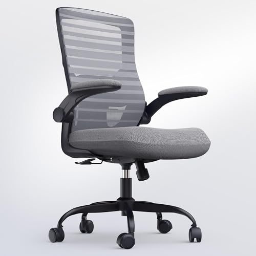 QLTPLUS Office Desk Chair for Long Hours