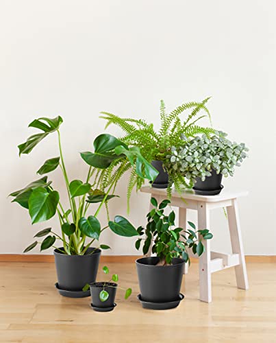 Ladovita 7 Pack Plastic Plant Pots Indoor, 7/6.5/6/5.5/5/4.5/4 Inch Modern Planters For Plants, Flower Pots With Drainage Holes And Trays, Black #TOP5