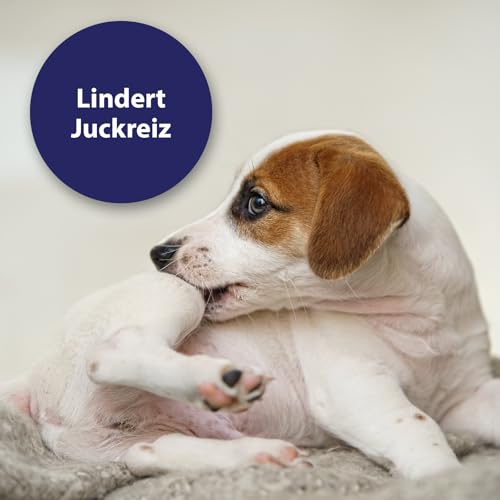 Canosept Mikro Silberspray für Hunde 75ml - Silberspray Hund gegen Juckreiz Hund - Wundspray Hund - Schmerzfrei für den Hund - ohne Aluminium & kolloidales Silber - spendet Feuchtigkeit