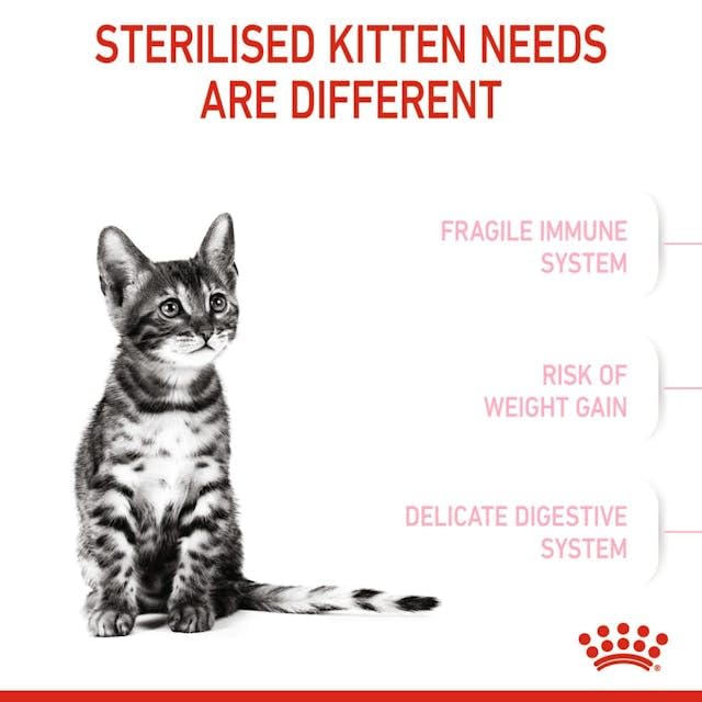 Royal Canin Kitten Sterilised | Pack Double | 2 x 400 g | Aliment Complet pour Chats | Spécialement conçu pour Les Chats castrés en Pleine Croissance, de 6 à 12 Mois
