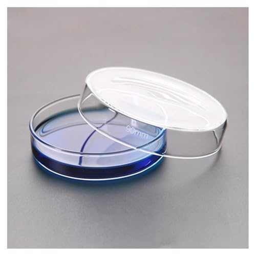 Boîte de culture bactérienne en verre 90 mm fournitures laboratoire microbiologie