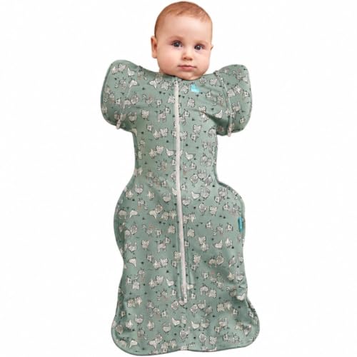 Love to Dream Swaddle Up Transition Bag | 1.0 TOG, 19-24 lbs, Chicken Run