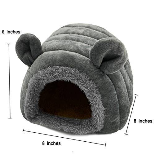 Camas para Perro, Video On Demand Imagen adicional