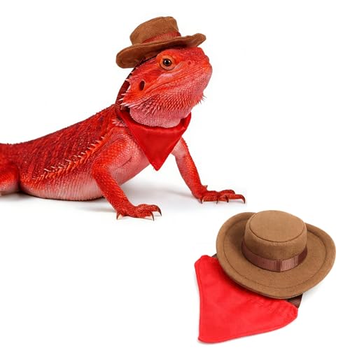 Molain Bearded Dragon Clothes Lizard Cowboy Hat Bandana Costume Set Bearded Dragon Clothing Outfit for Cosplay Photo Costume Props Fits Gecko Chameleon Ferret