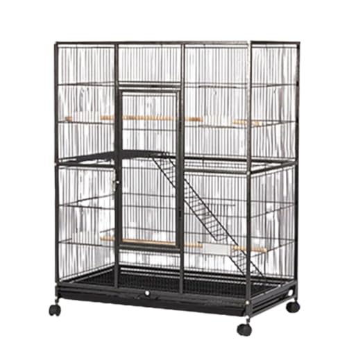 NIGOE  LX^[t SA IE  ^  Bella Supplies S  O[v   tB[_[ ̑ 甠 O\ȃgCt     Bella ^  