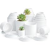 D'vine Dev 20-Pack Plastic Pots with Saucers, 2-4 in, White, 74-U-A