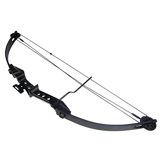 19-29 lb Black Archery Hunting Compound Bow +Quiver +Armguard +Finger Tab +2 26" Arrows/Bolts 75 55 40 30 lbs Crossbow