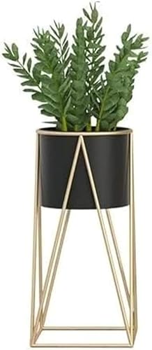 Zorimu�S�[���h���^���A�C�A���A�ؔ��X�^���h ��^�v�����^�[ �����������C���e���A �ϗt�A���E�W���[�V�[�E�G�A�v�����g�p �~�͔��t�����[�z���_�[ �����̏���f�R���[�V���� �ߑ�K�[�f���X�^�C���ɗn������