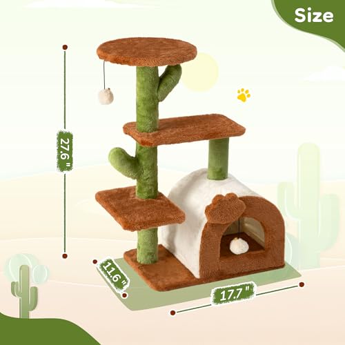 Árbol de gato cactus para interiores 27.5 pulgadas miniatura 3