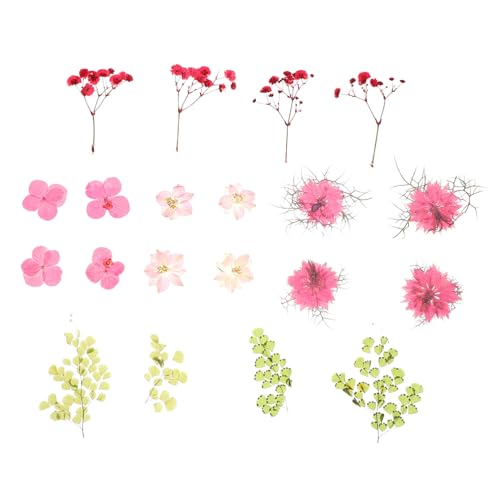 30 piezas flores secas prensadas para decoración DIY miniatura 1