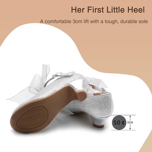 Image of THEE BRON Girls Low Heel Dress Shoes Mary Jane Party Wedding Flower Girl Pumps