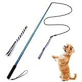 ANG Extendable Flirt Pole Rope Tug Dog Toy, with 2 Durable Braided Cotton Blend Rope, Outdoor Interactive dog toy for Pulling, Chasing, Chewing, Training,Exercising Bule (L)