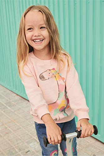 Toddler Girls Crew Neck Sweatshirt Novelty Dinosaur Kids Graphic Tee For Size 2T 3T #TOP2