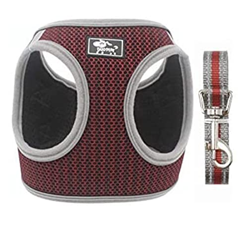 Image of KUTKUT Adjustable Vest Harnesses and Leash in with Soft Mesh Padded, Reflective, Breathable Set for Small-Medium Dogs (Size: L, Pet Weight 5-7 Kg, Adjustable Chest: 40-45cm)