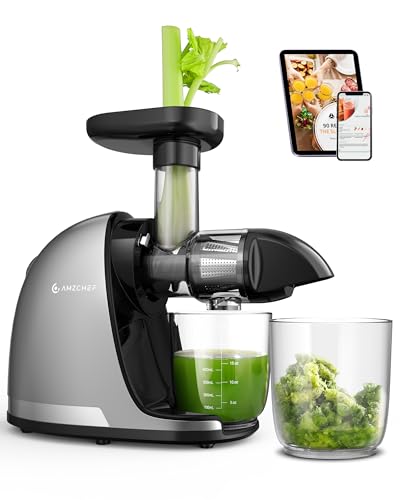 Estrattore di Succo a Freddo AMZCHEF – Estrattore Silenzioso con Funzione Inversa per Frutta e Verdura | Include Brocca e Spazzola di Pulizia (150 W, grigio)