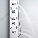 ZeeCry 8 in 1 Shower Panel Tower System Stainless Steel 304 Thermostatic System with LED Rainfall, Hot & Cold Water Adjustable, Hand Shower, Body Mist Spray (Chrome Finish)