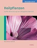 Heilpflanzen: Sanfte Behandlung von Alltagsbeschwerden
