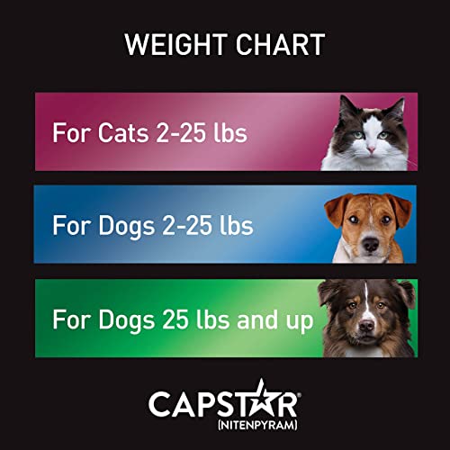 Capstar (Nitenpyram) Oral Flea Treatment For Dogs, Fast Acting Tablets Start Killing Fleas In 30 Minutes, Small Dogs (2-25 Lbs), 6 Doses #TOP4