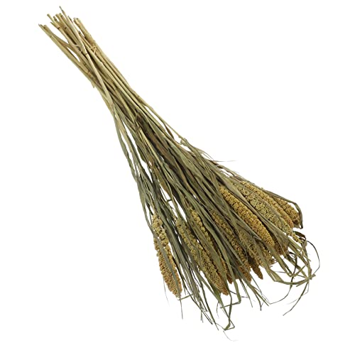 Mipcase Natural Hamster Bedding Grain Decor Cute Cereal Decoration for Hamster Habitats Enhances Cage Atmosphere for Dwarf Gerbils and Mice and Fun